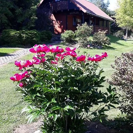 Holiday home Dom Goscinny Azalia Uscie Gorlickie