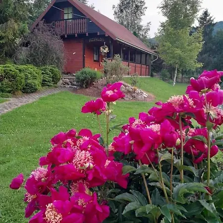 Holiday home Dom Goscinny Azalia Uscie Gorlickie